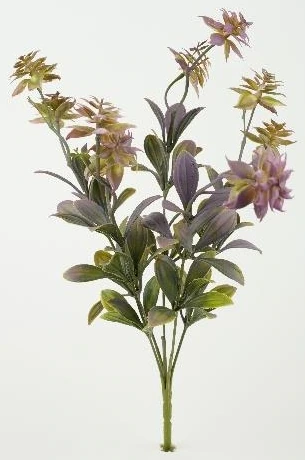 Soft Bloom Succulent Leaves Bunch Small